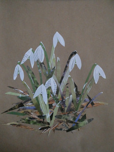 Angela, Snowdrops, collage.JPG